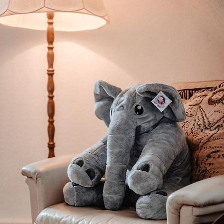 Osterode am HarzOlifant In Osterodeアパートメント エクステリア 写真