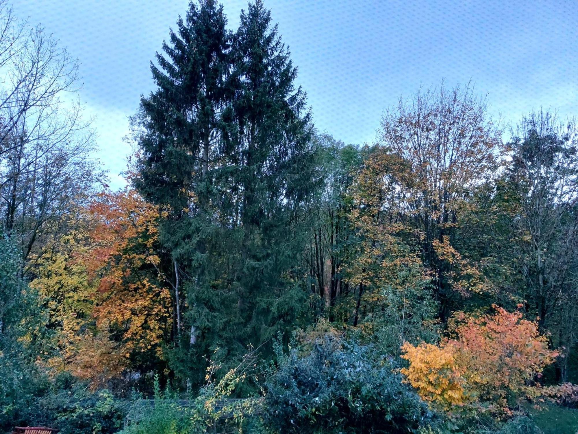 Osterode am HarzOlifant In Osterodeアパートメント エクステリア 写真