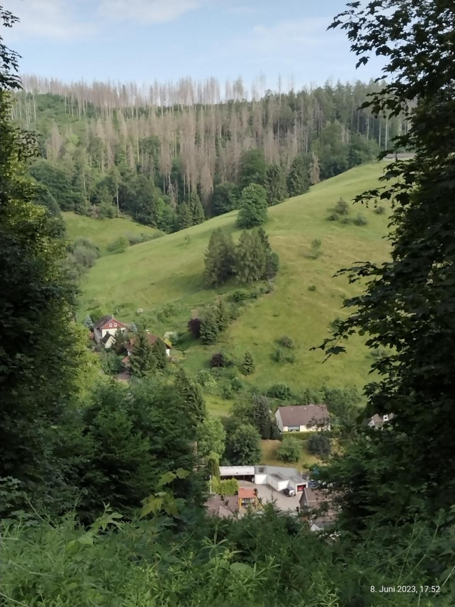 Osterode am HarzOlifant In Osterodeアパートメント エクステリア 写真