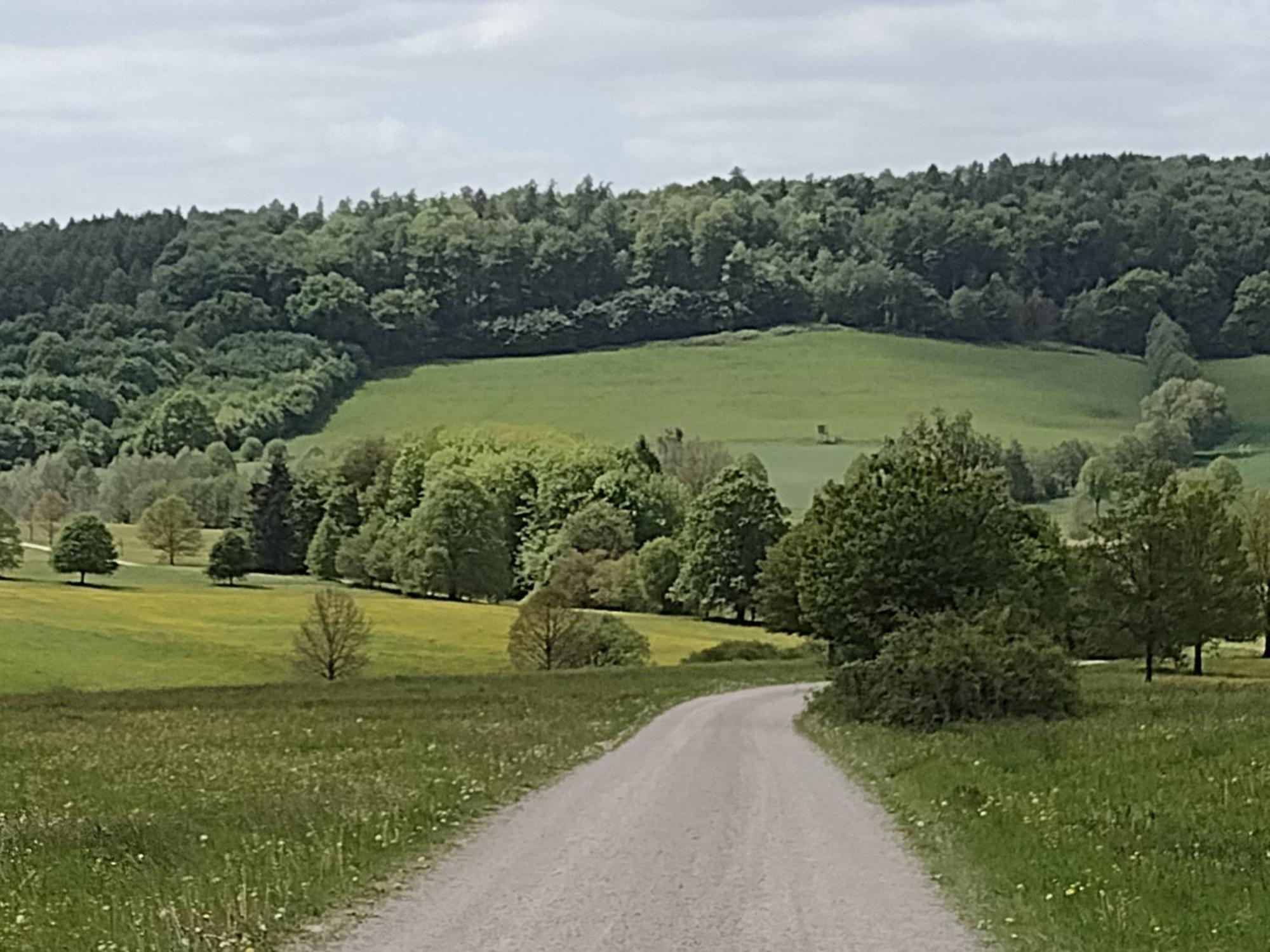 Osterode am HarzOlifant In Osterodeアパートメント エクステリア 写真