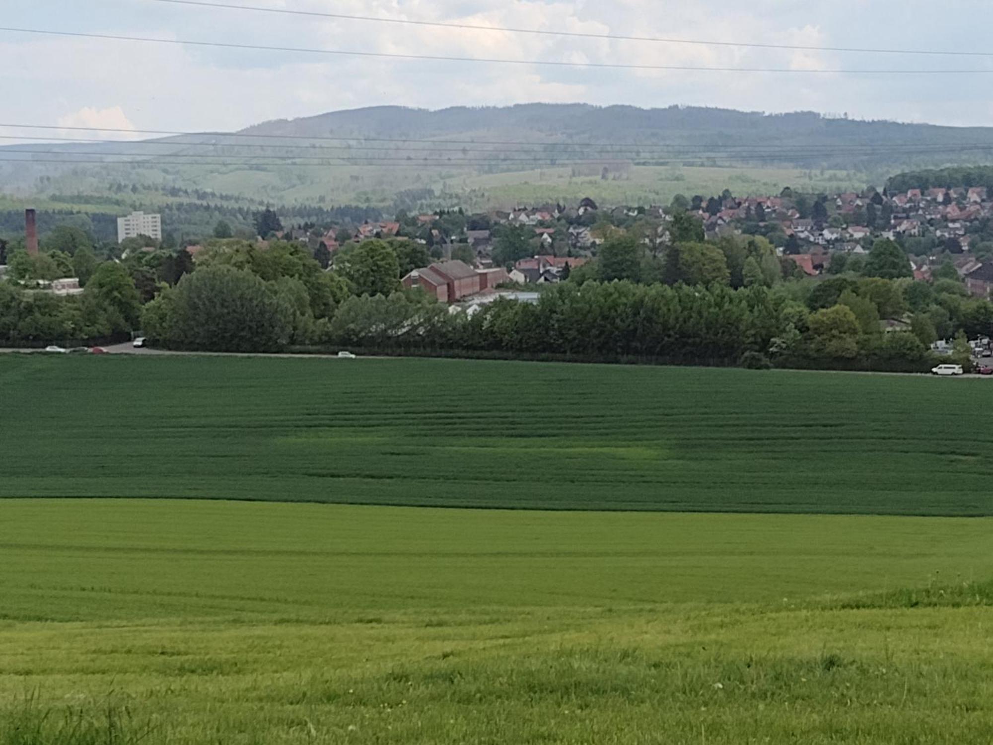 Osterode am HarzOlifant In Osterodeアパートメント エクステリア 写真