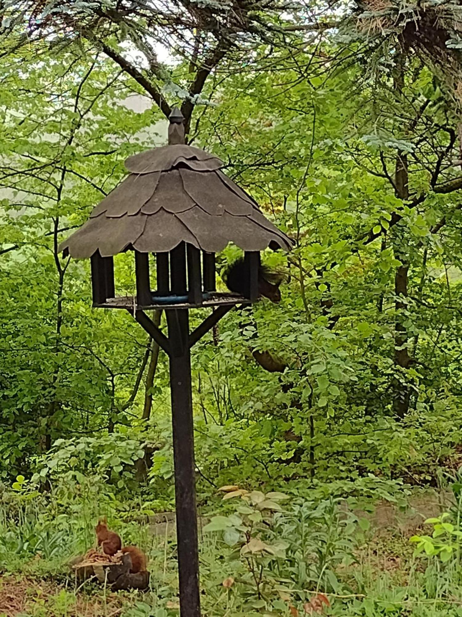 Osterode am HarzOlifant In Osterodeアパートメント エクステリア 写真